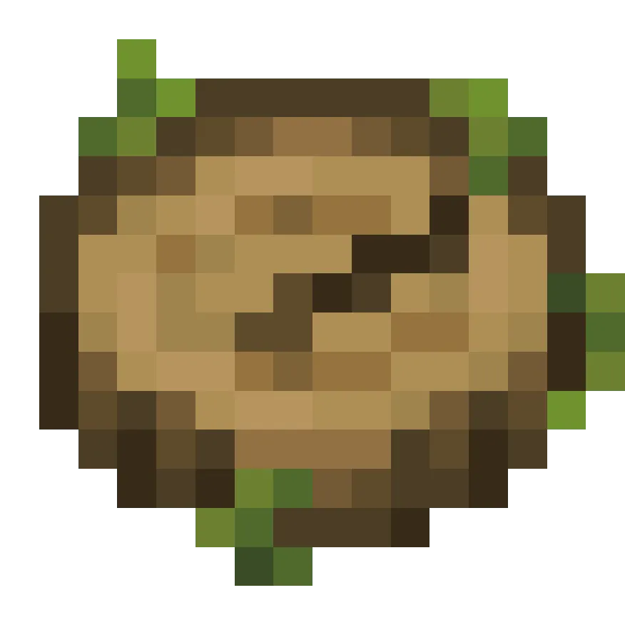 Fresh Nature's Compass, Текстуры, Minecraft