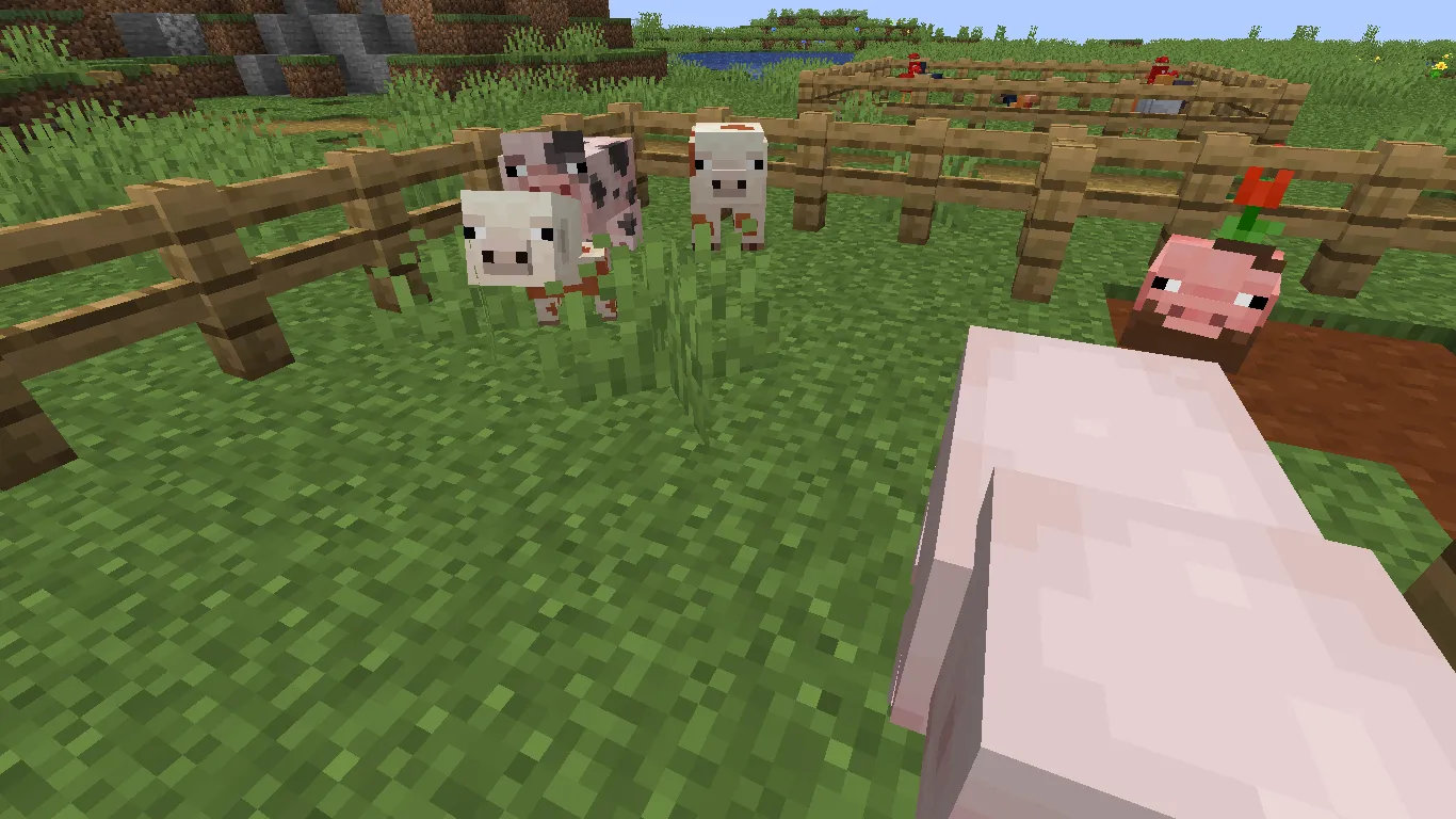 Earth2Java [FORGE], Моды, Minecraft