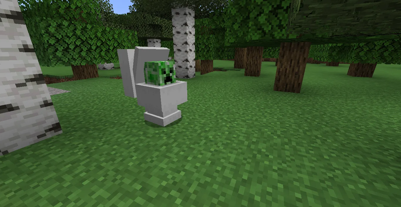 Creeper Toilet, Текстуры, Minecraft