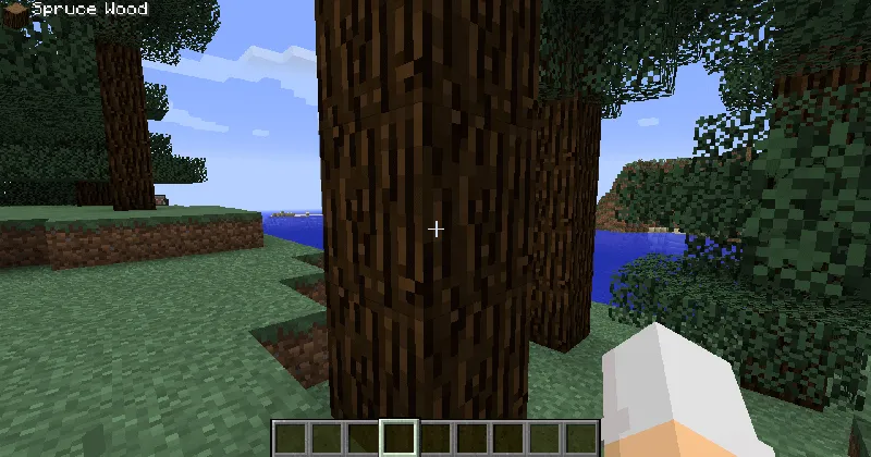 Block Display, Моды, Minecraft