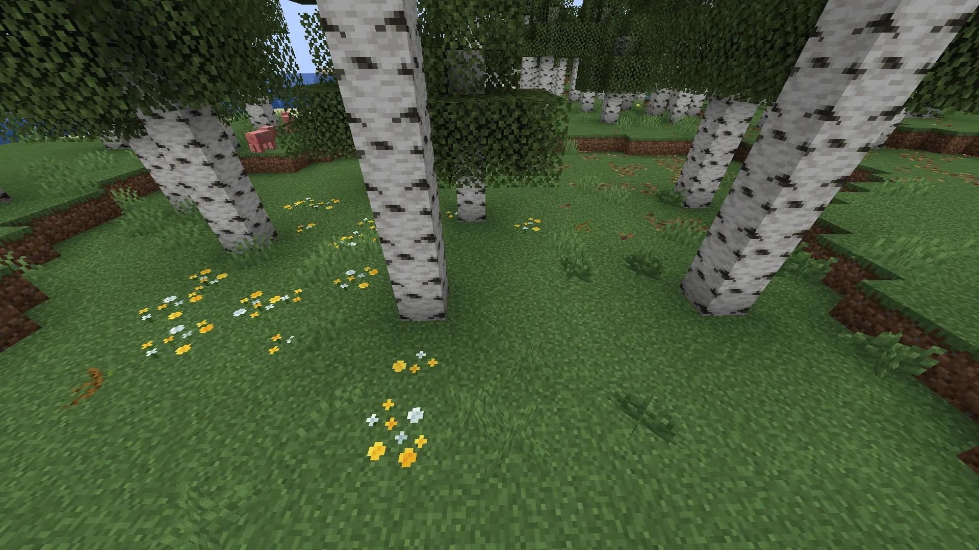 ADJ Blocks, Моды, Minecraft