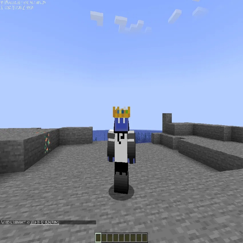 Technoblade's Golden Crown, Текстуры, Minecraft