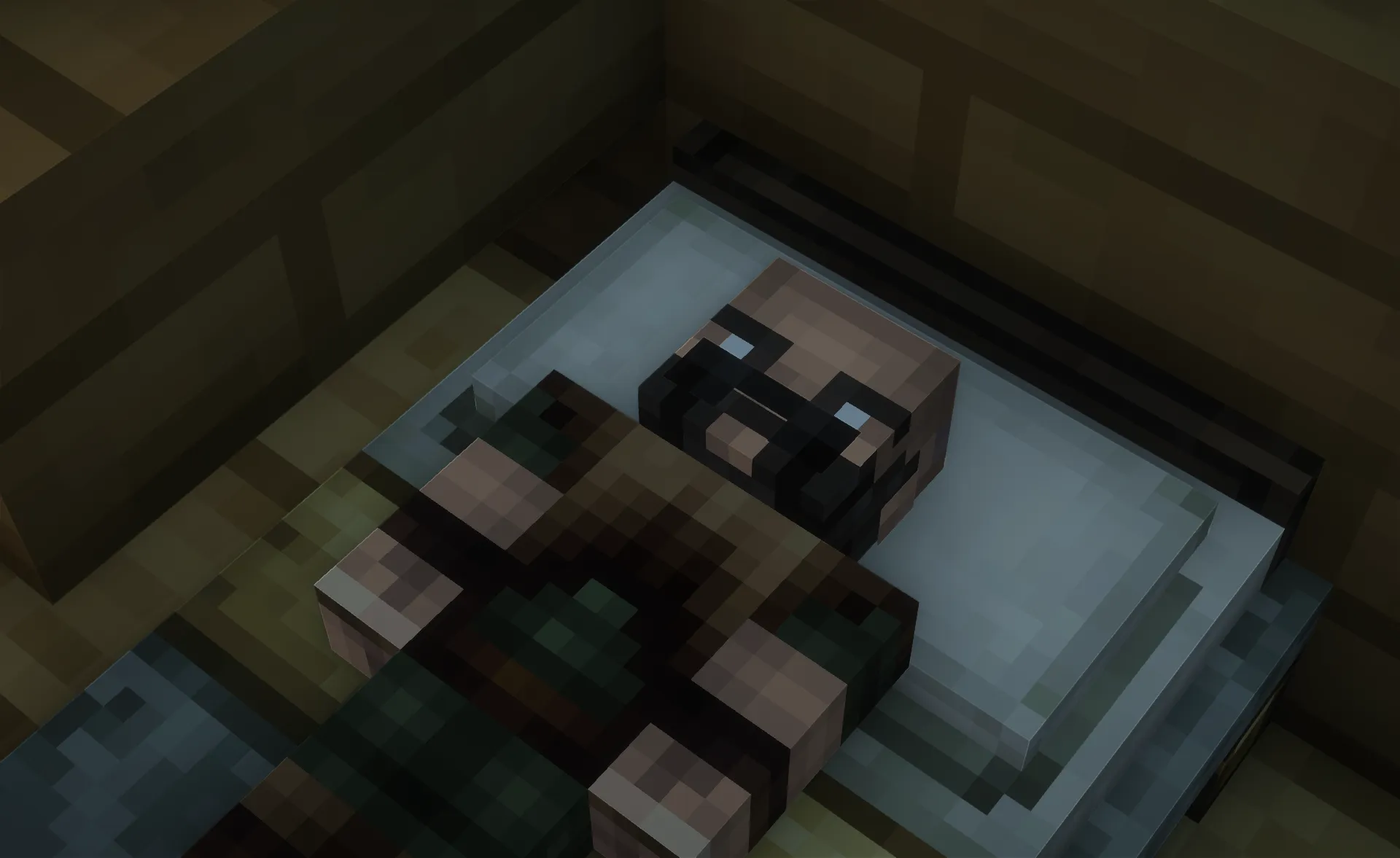 RPG Stylish Player Villagers, Текстуры, Minecraft