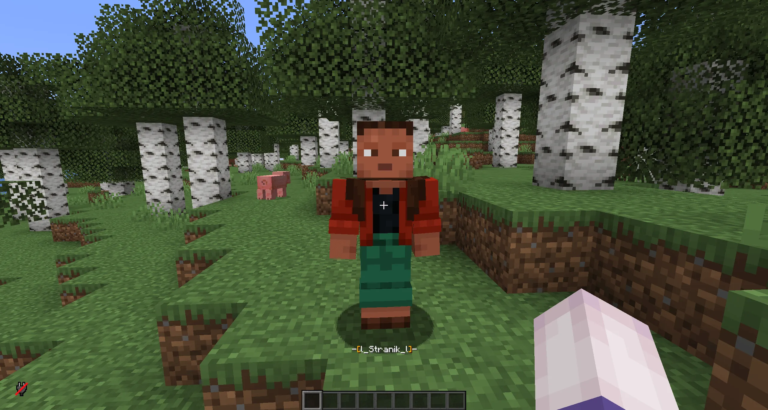 NametagHider — скриншот 2 (Плагины, Minecraft)