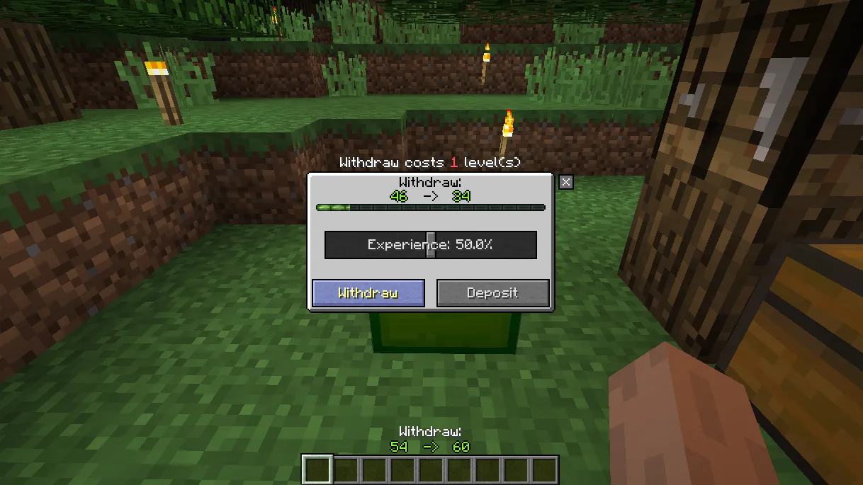 XP Holder, Моды, Minecraft
