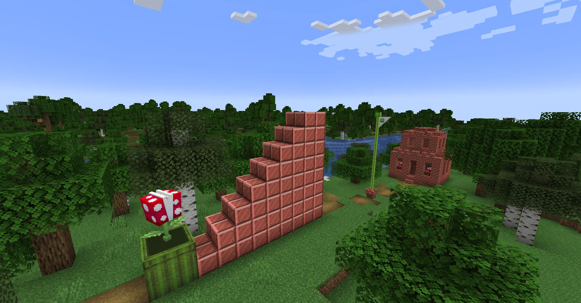 WenXin's Marioverse, Моды, Minecraft