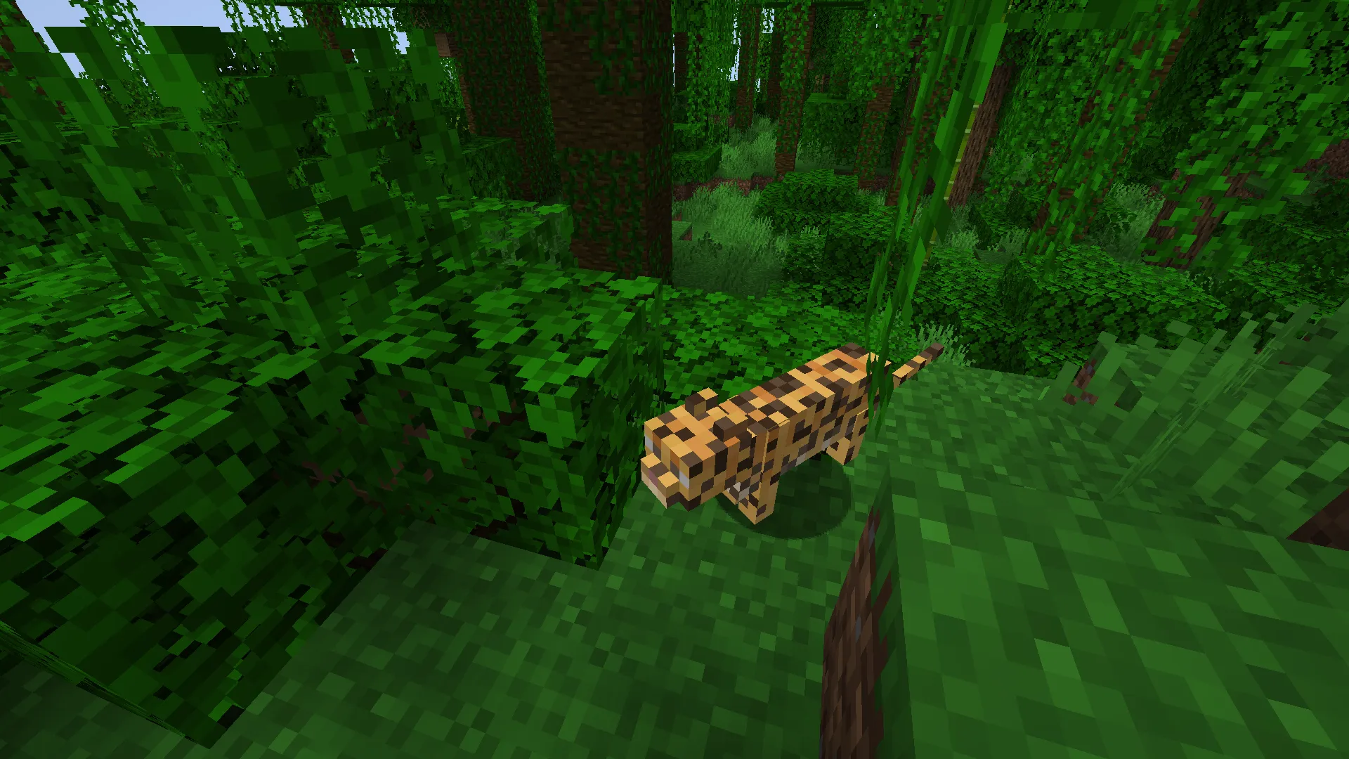 Otorongo Peruano — скриншот 3 (Текстуры, Minecraft)