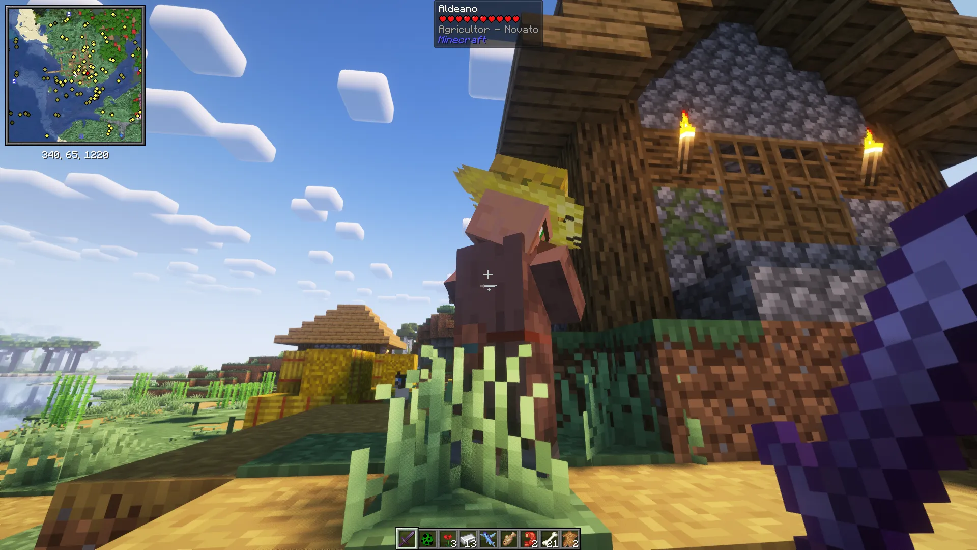 Sword Art Online Fade — скриншот 3 (Текстуры, Minecraft)