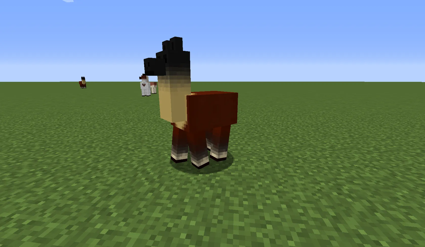 Better Llamas — скриншот 5 (Текстуры, Minecraft)