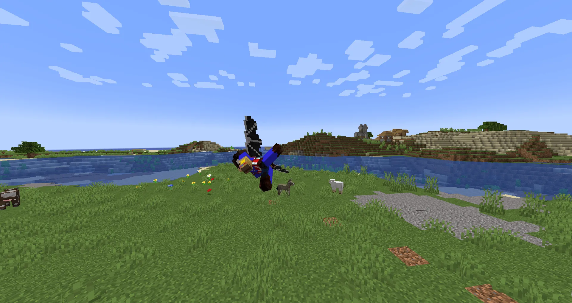 Dragon Elytras, Текстуры, Minecraft