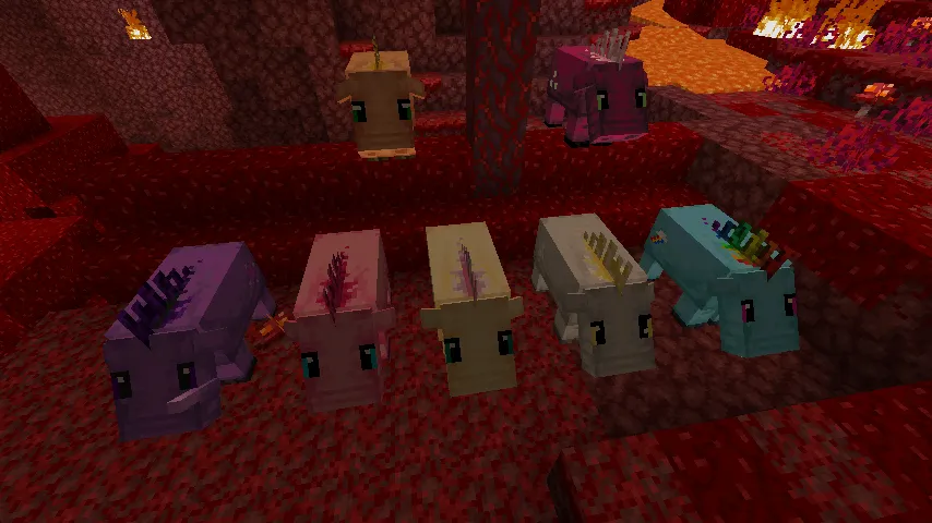 My little Hoglin, Текстуры, Minecraft
