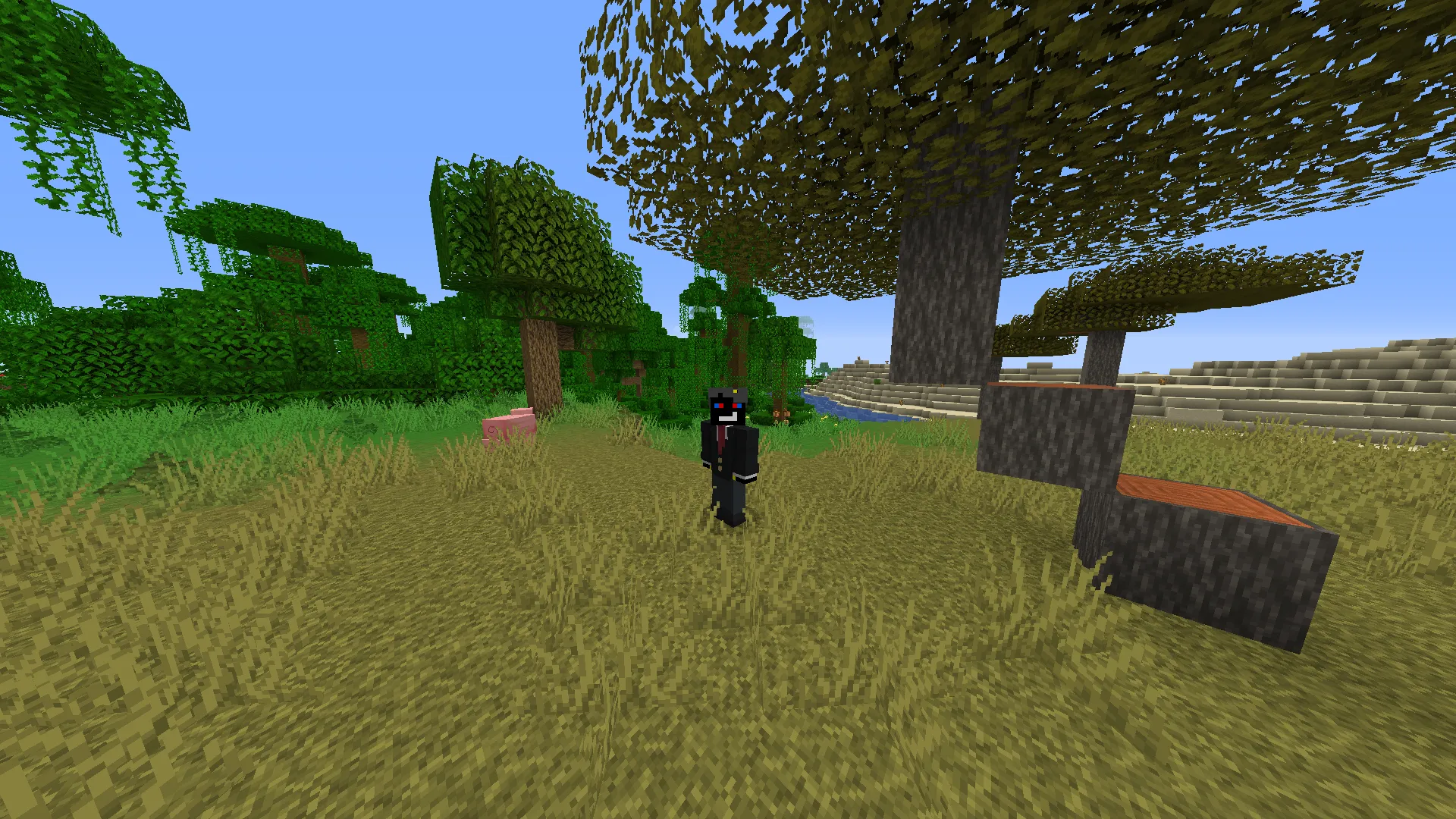 Togglesprint Viewer, Моды, Minecraft