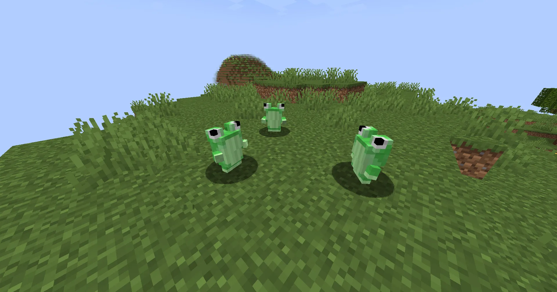 Some Frogs, Моды, Minecraft