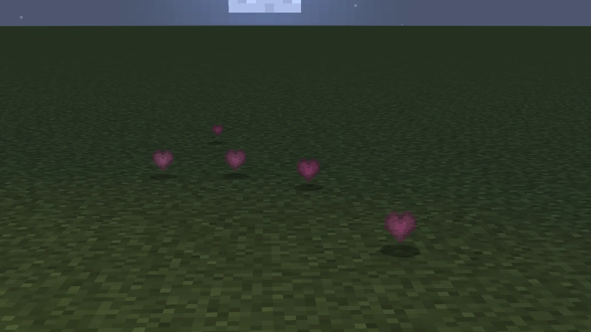 Heart Experience, Текстуры, Minecraft