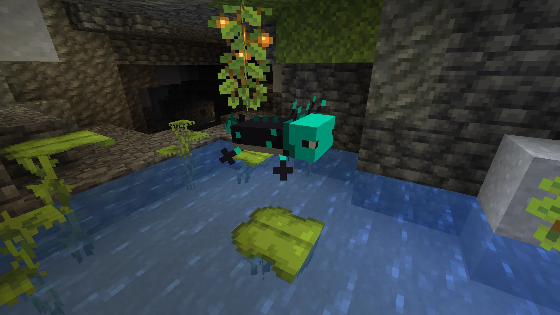 Lissiceous Axolotls, Текстуры, Minecraft