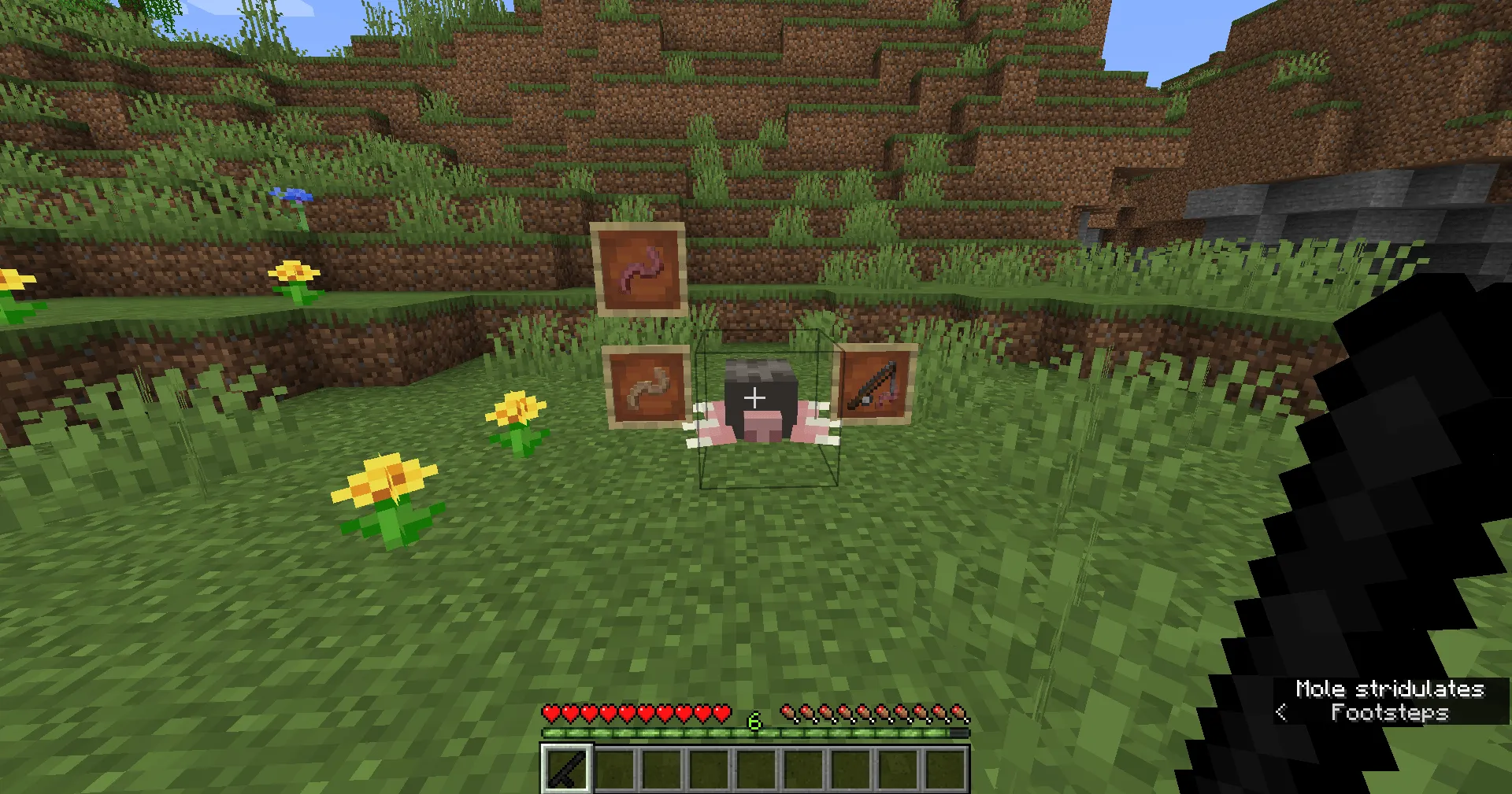 VillageCraft 2 Essentials, Моды, Minecraft