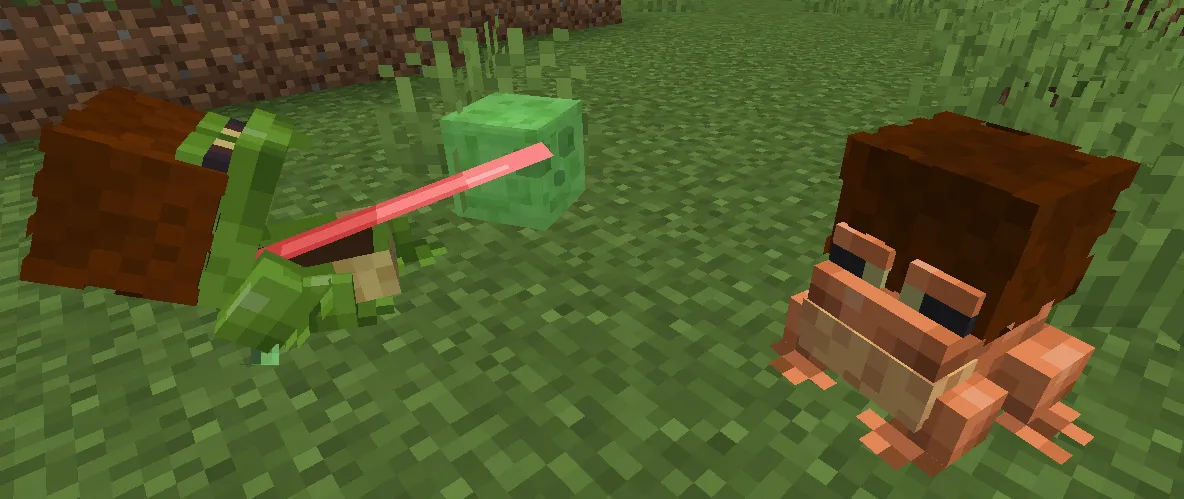 Zio's frogs, Текстуры, Minecraft
