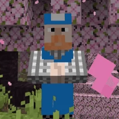 Teimo Villager, Текстуры, Minecraft