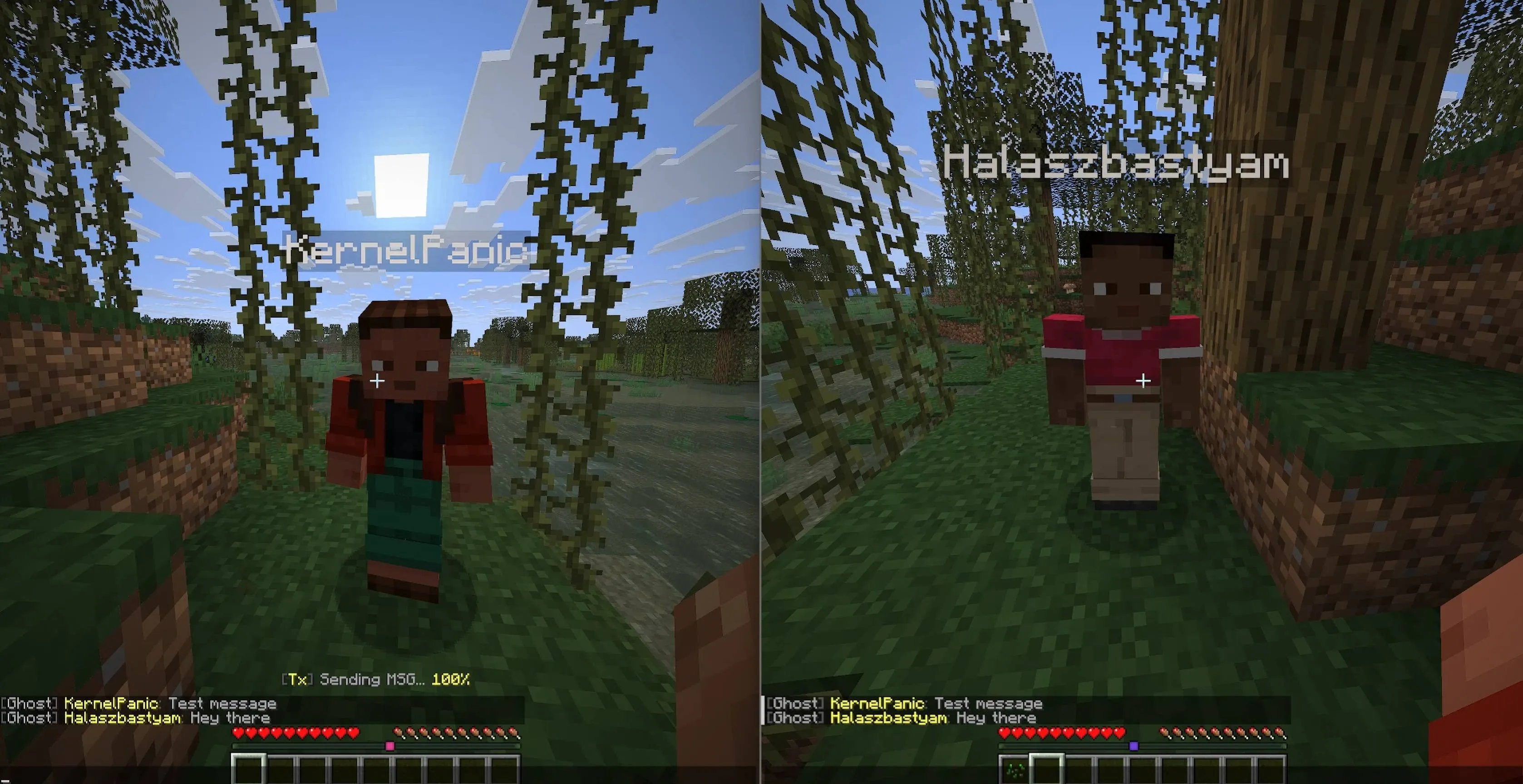 GhostChat — скриншот 1 (Моды, Minecraft)