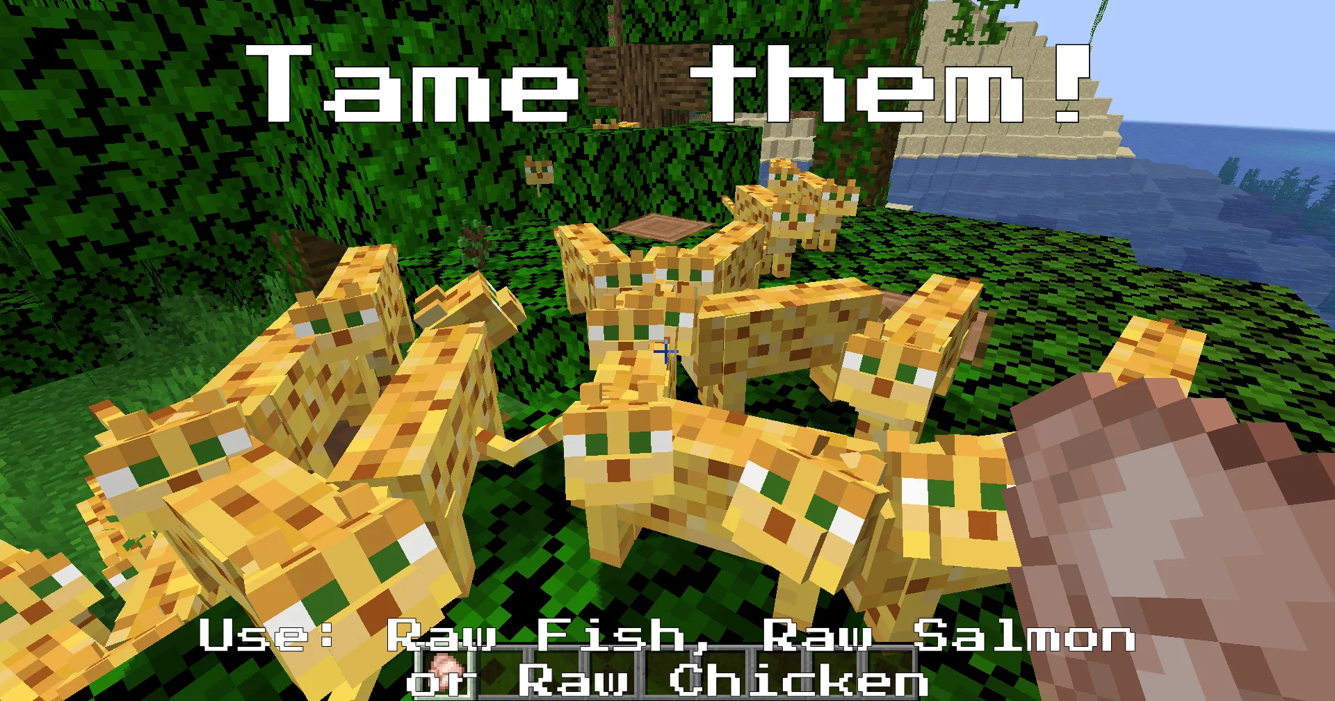 Better Ocelots — скриншот 2 (Моды, Minecraft)