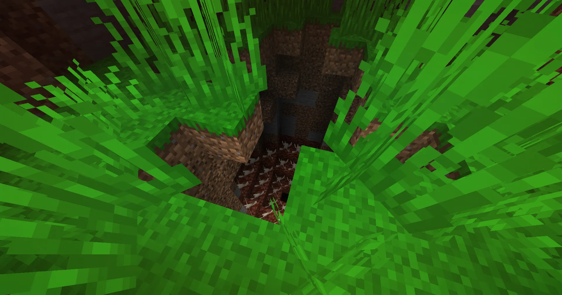 Parasitic Hell, Модпаки, Minecraft