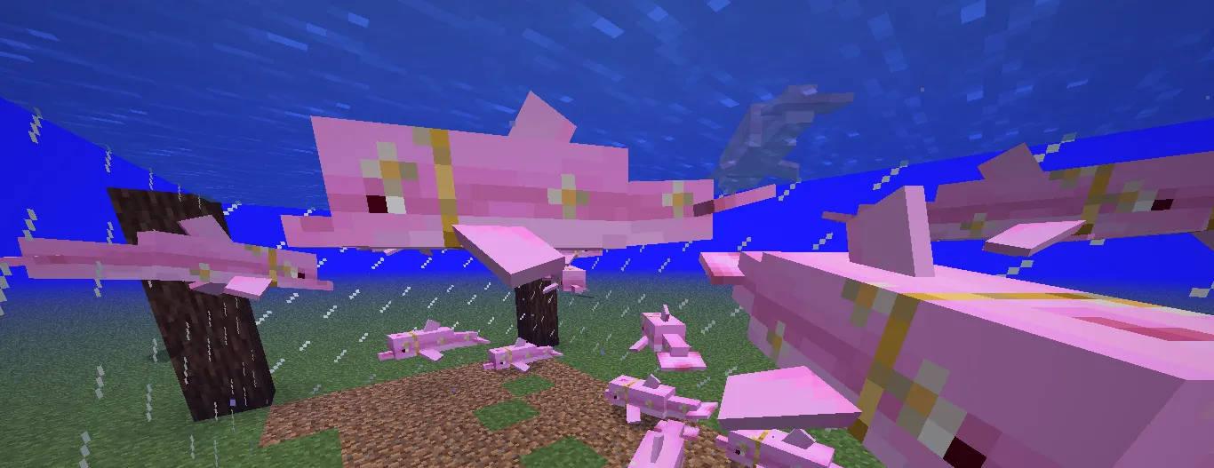 Pink dolphins, Текстуры, Minecraft