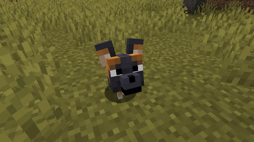 Fresh Animations Patch - Boy Why You So Ears — скриншот 2 (Текстуры, Minecraft)