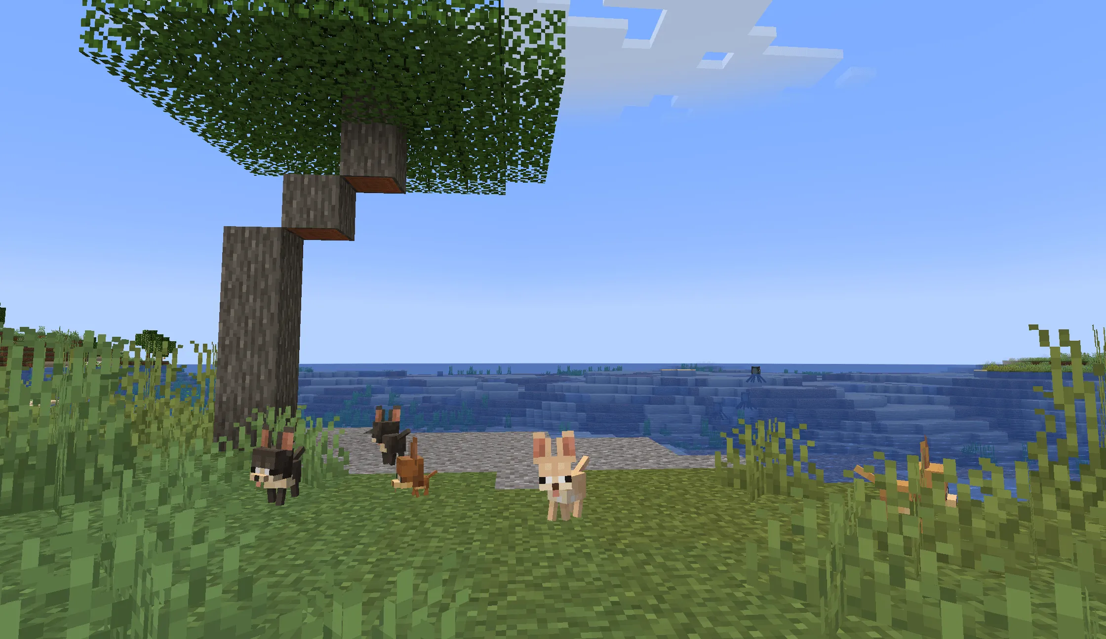 Puppy Paws, Моды, Minecraft