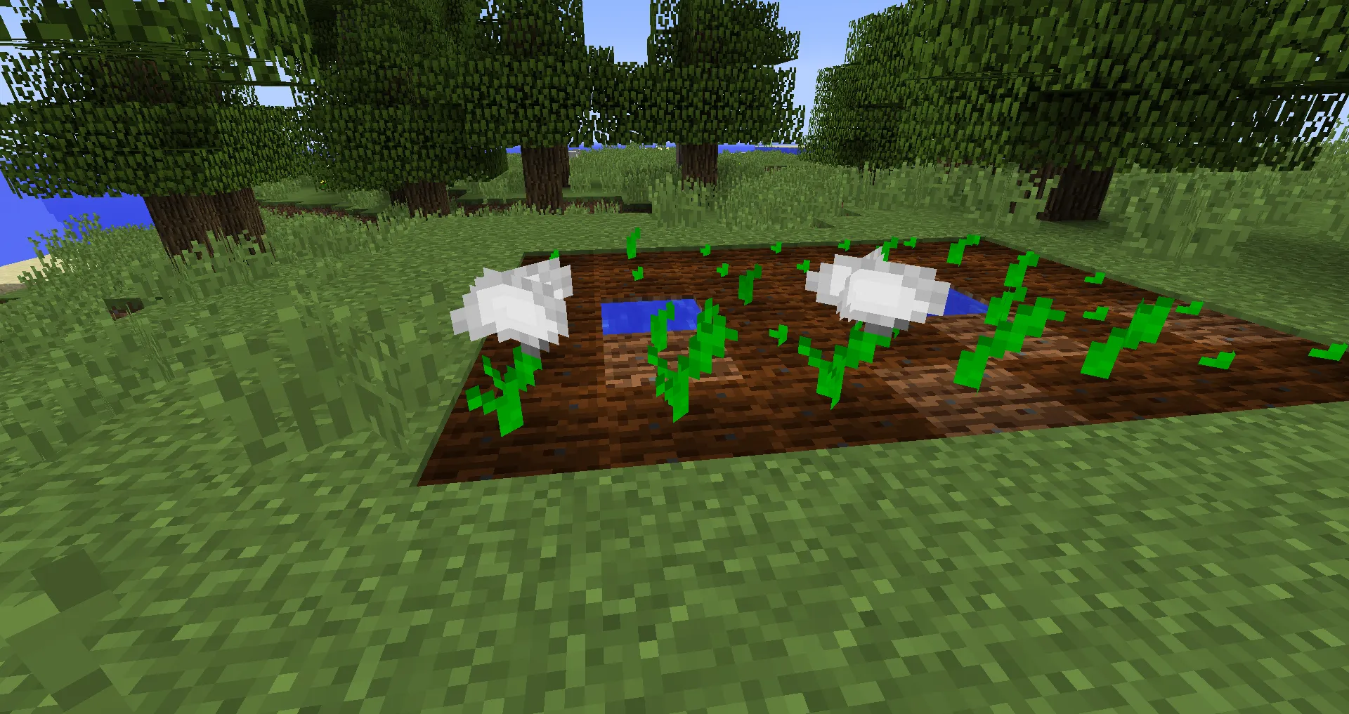 SkyCraft, Моды, Minecraft