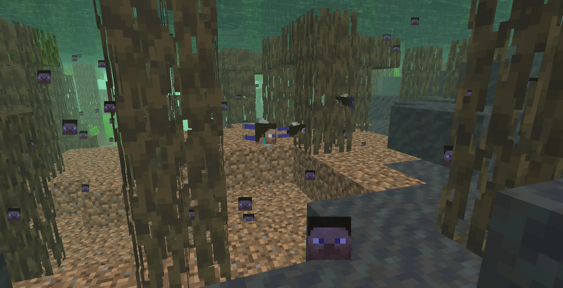 Everyone is Steve, Текстуры, Minecraft