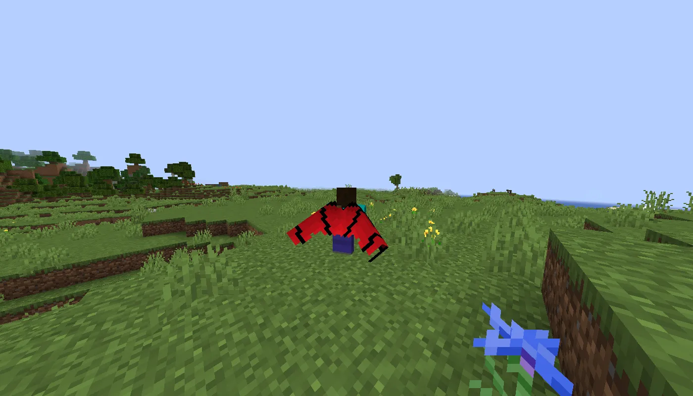 Elytra Red, Текстуры, Minecraft