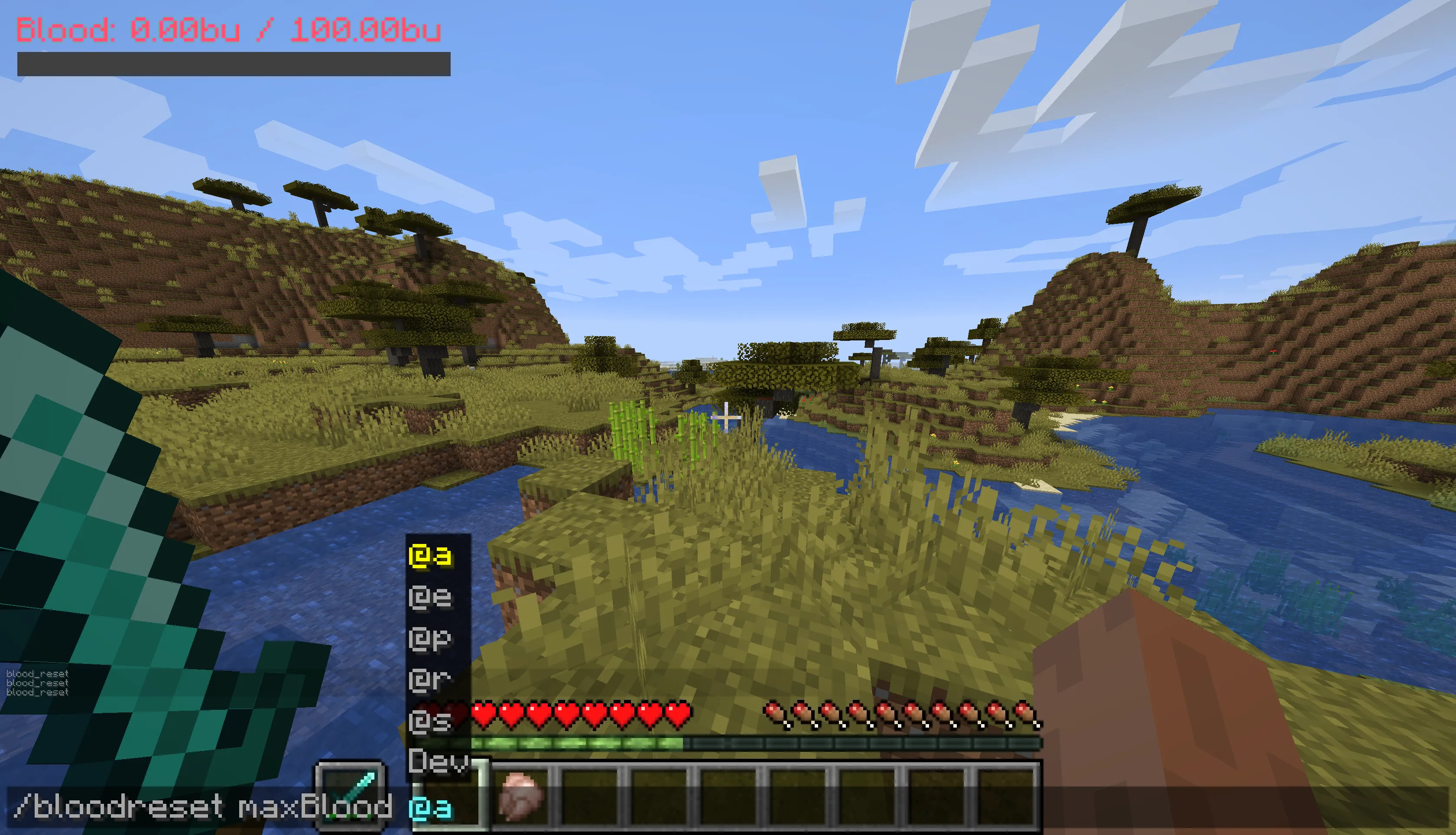 PlayerBlood, Моды, Minecraft