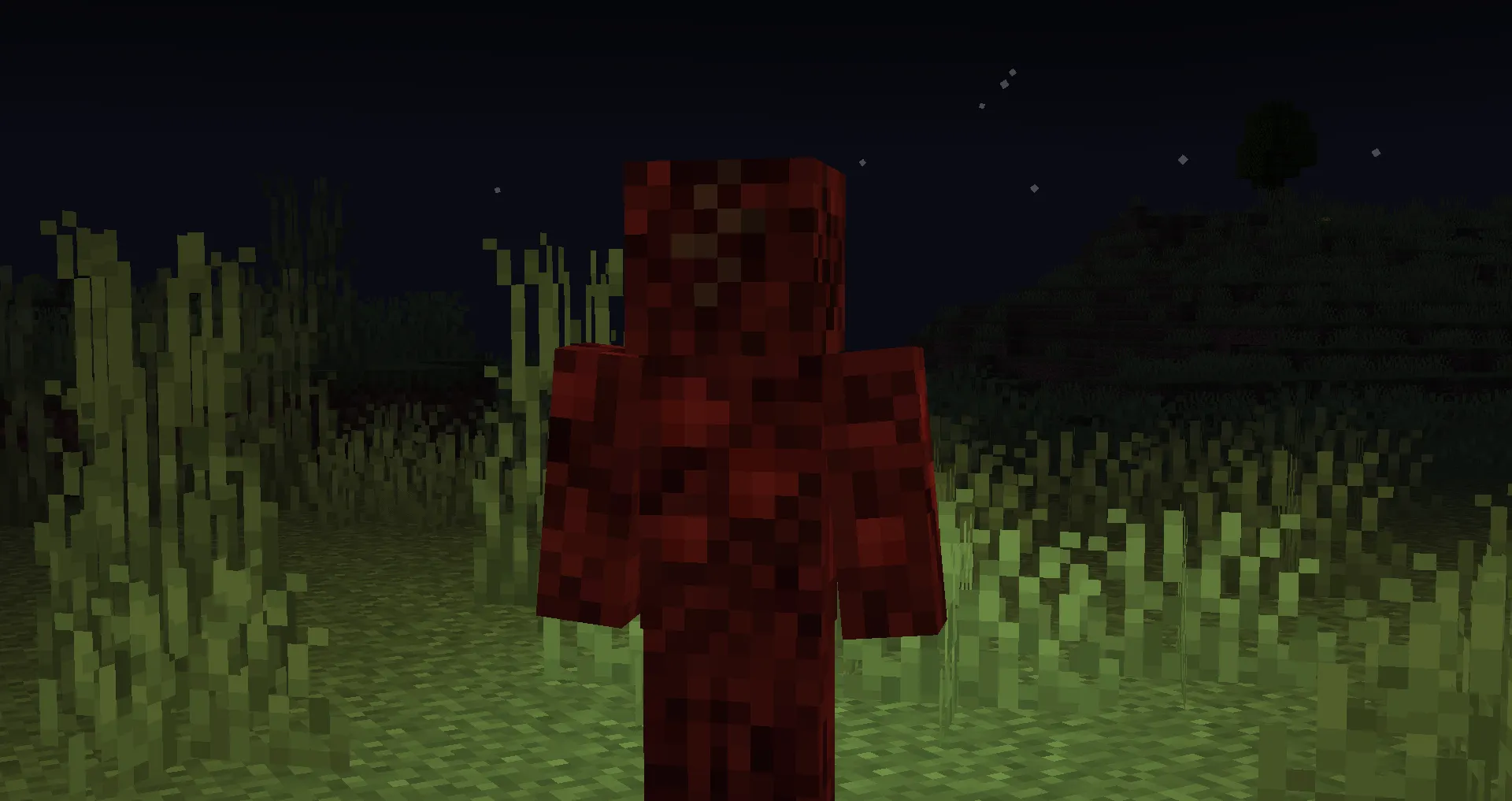 LeSumrat's Nonsense, Моды, Minecraft