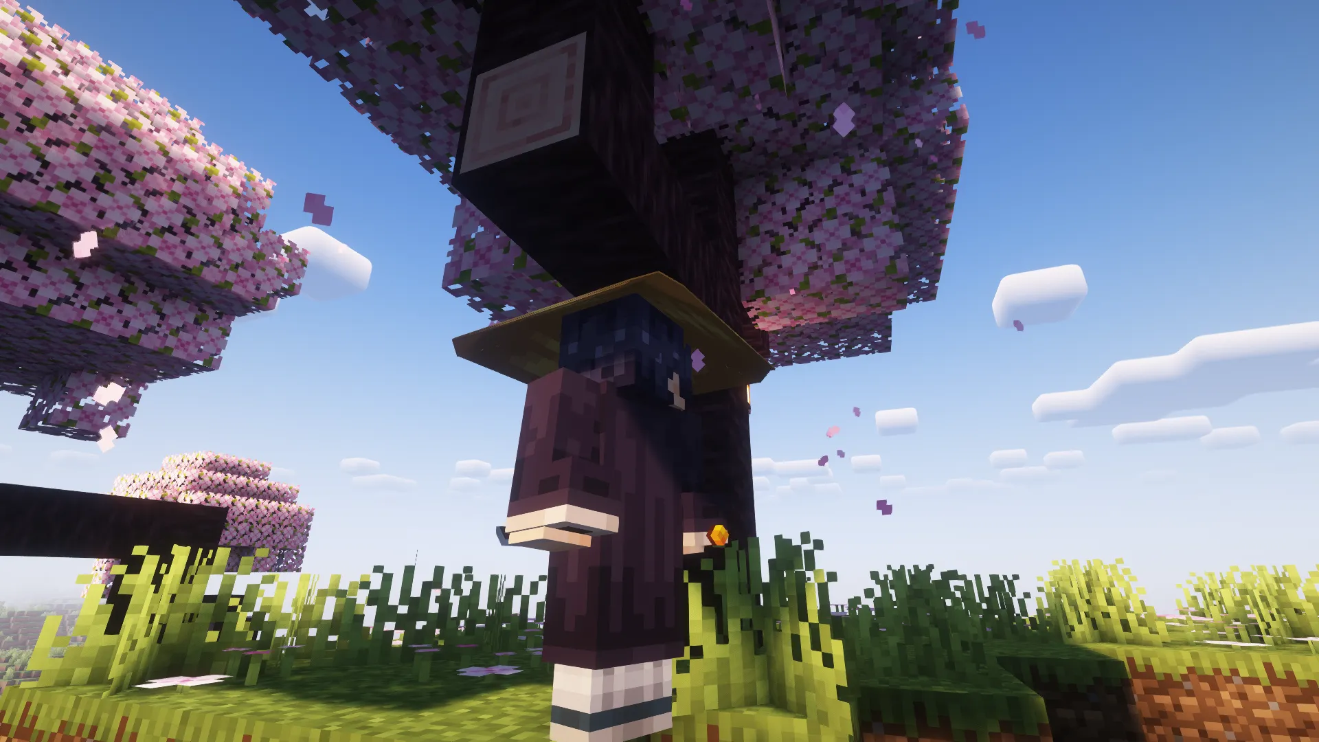 Wandering Ronin, Моды, Minecraft