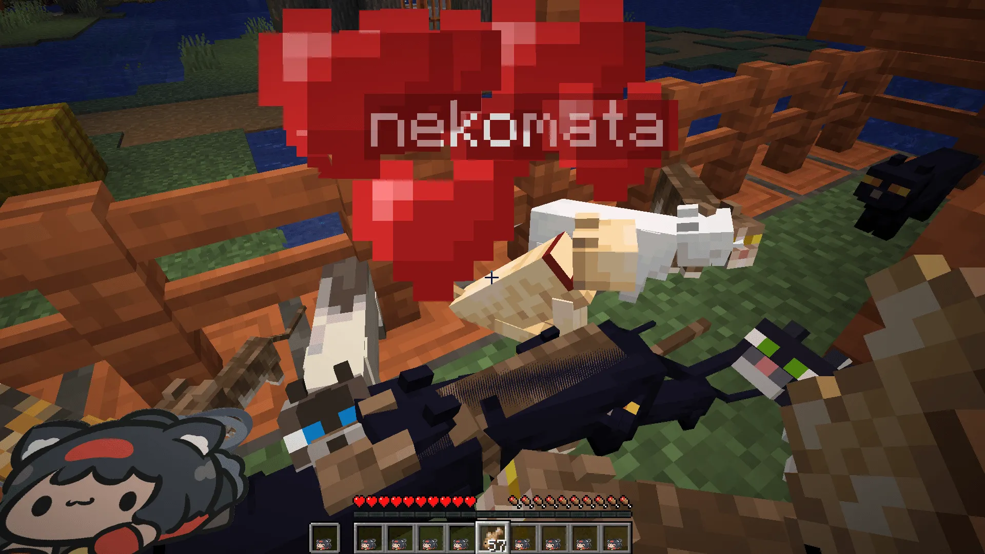 Hoyoverse Brainrot Totems — скриншот 13 (Текстуры, Minecraft)