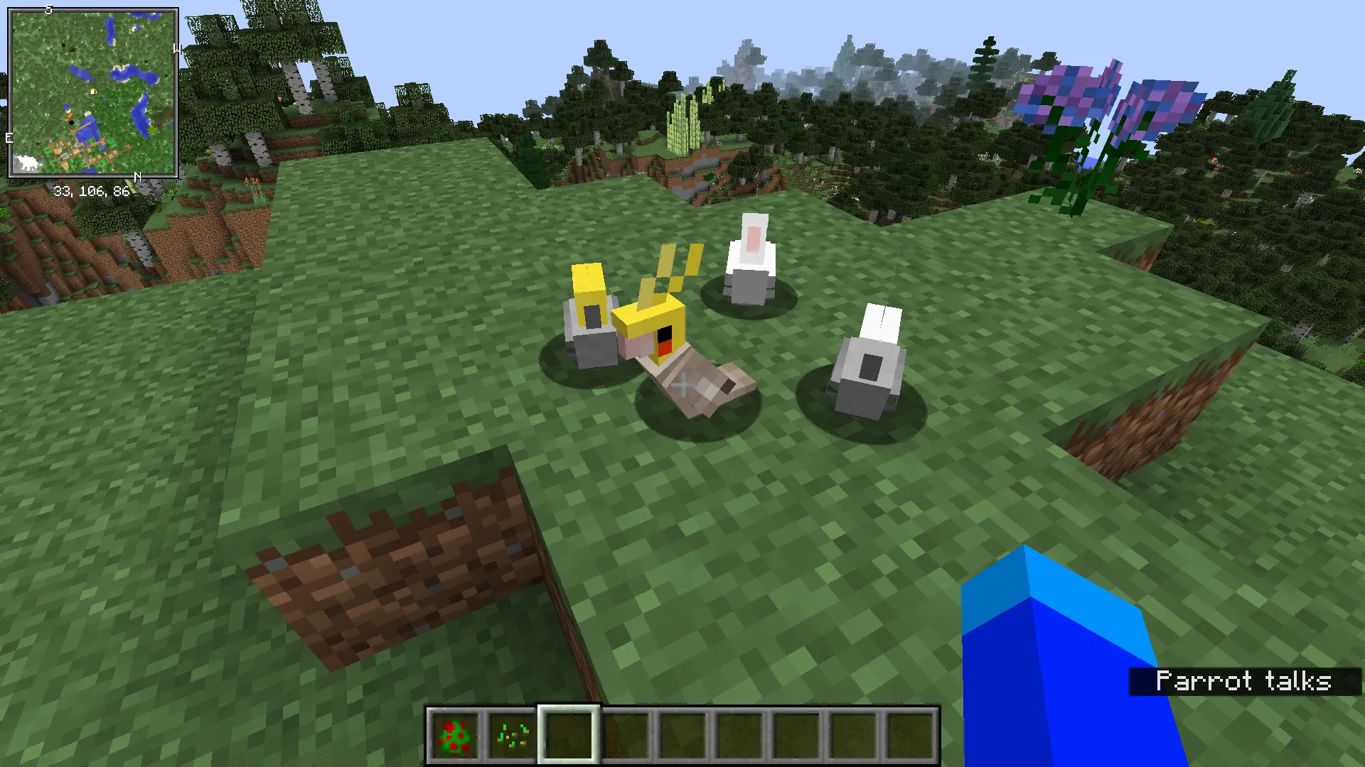 OOPS! All cockatiels(and no other parrot) — скриншот 5 (Текстуры, Minecraft)