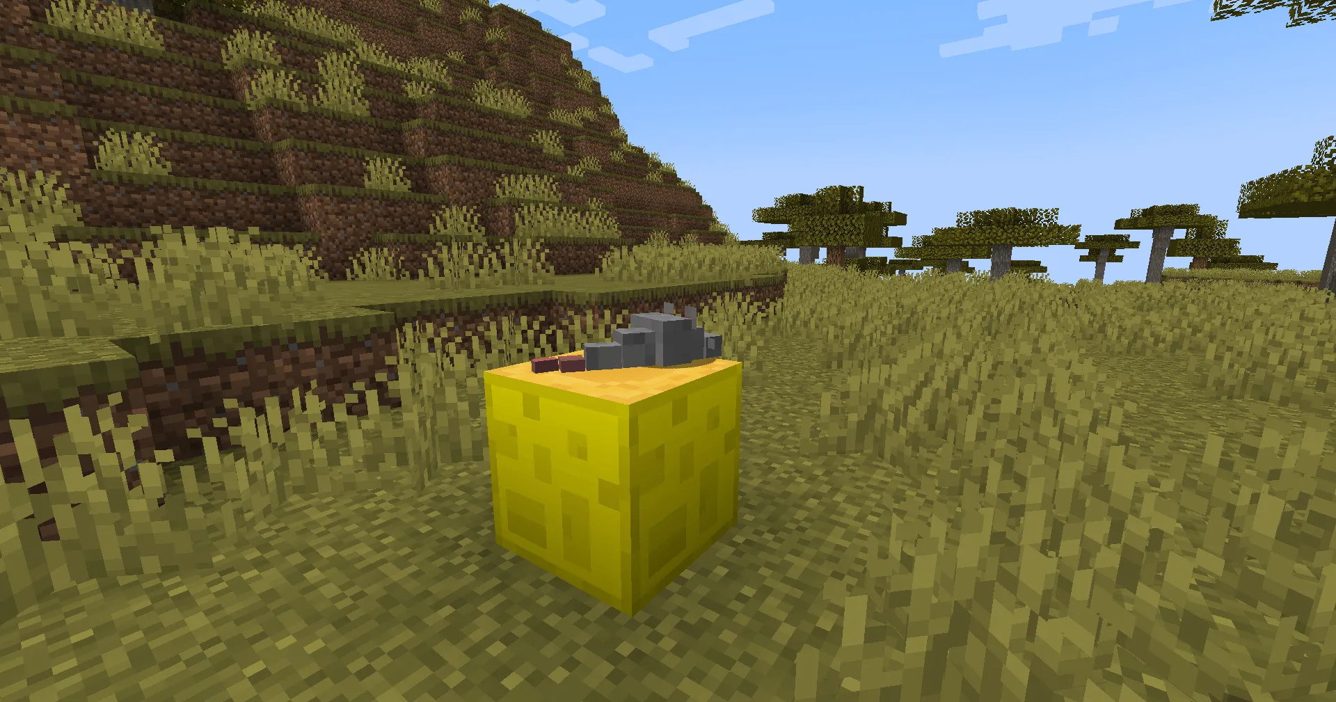 RATS!?, Моды, Minecraft