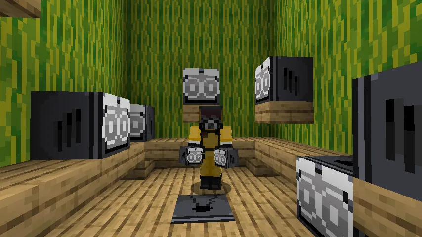 Tv Bloque, Моды, Minecraft