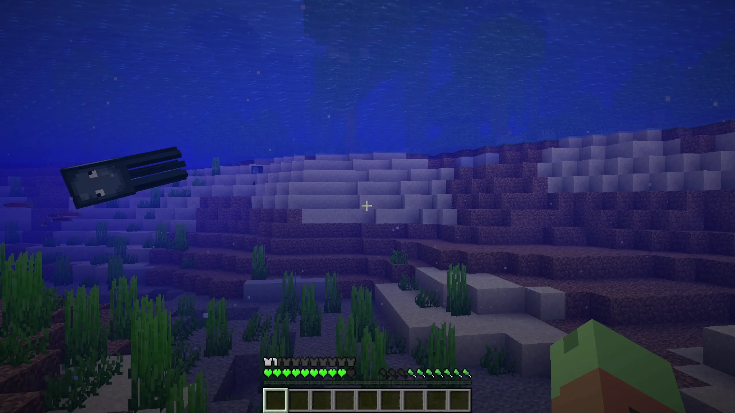 Rainbow Hud, Текстуры, Minecraft