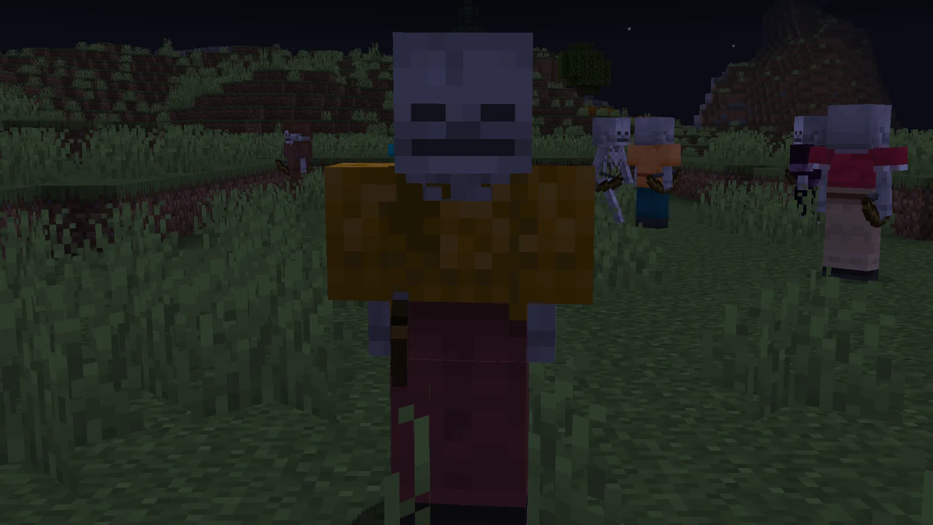 SFW Skeletons — скриншот 1 (Текстуры, Minecraft)