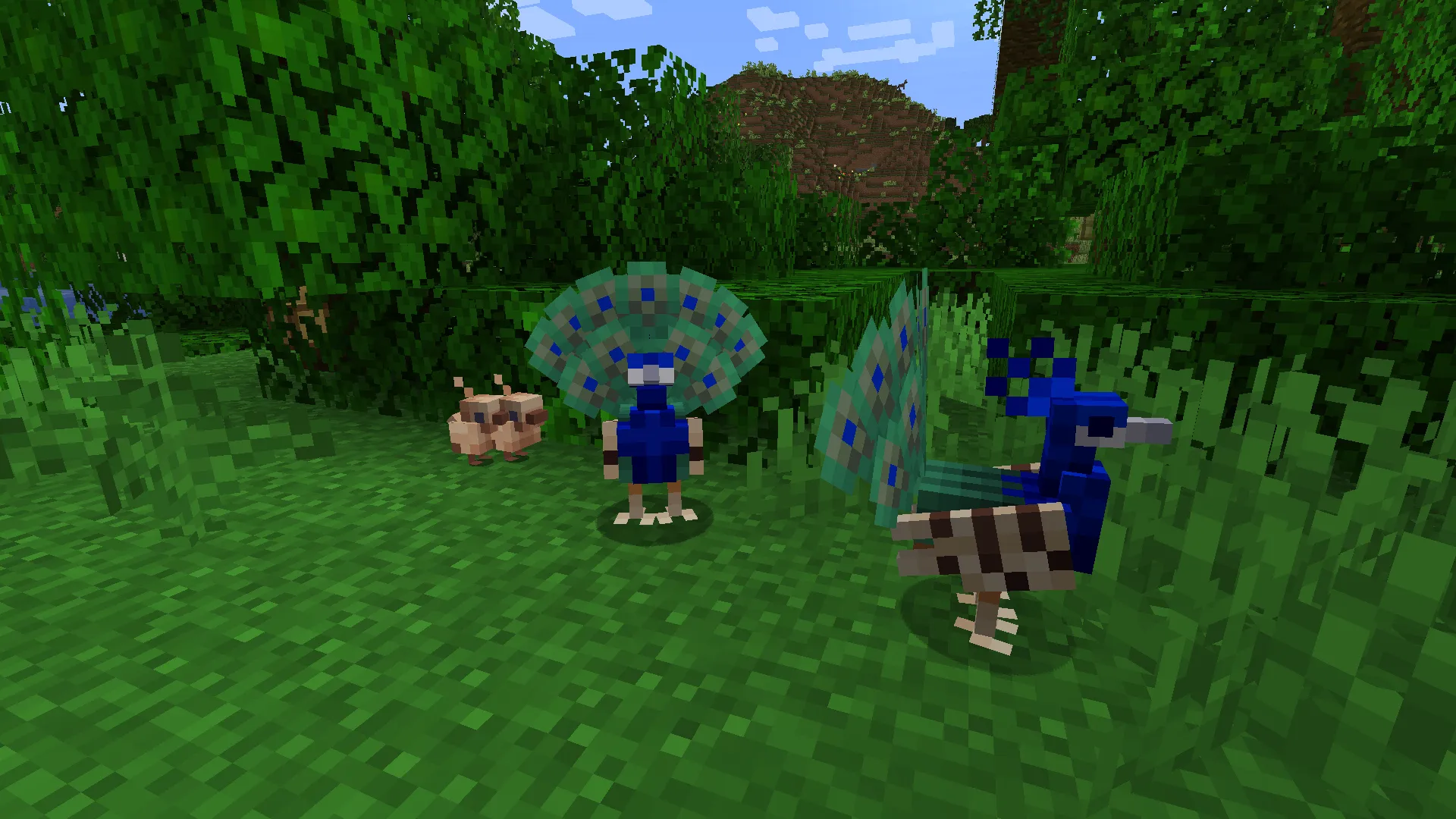 Hybrid Birds, Моды, Minecraft