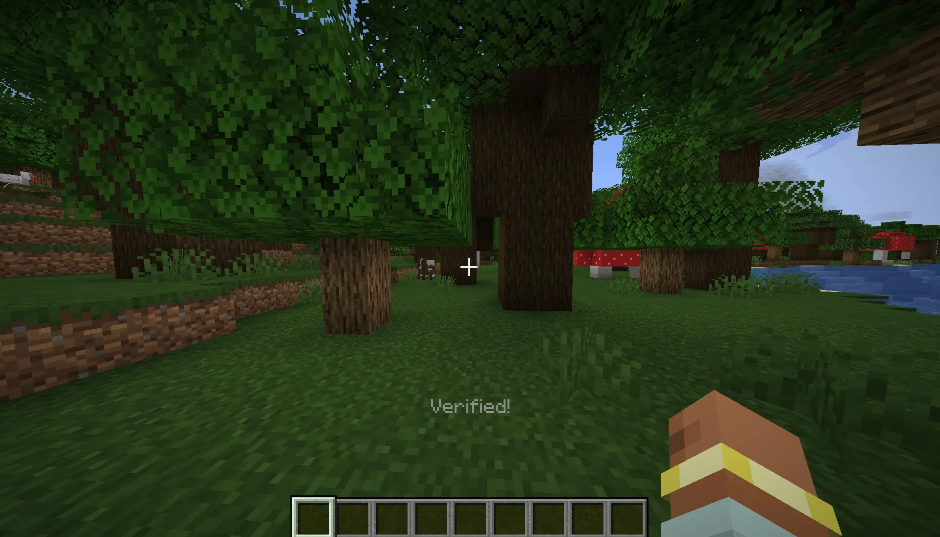 License Key Verification — скриншот 3 (Моды, Minecraft)
