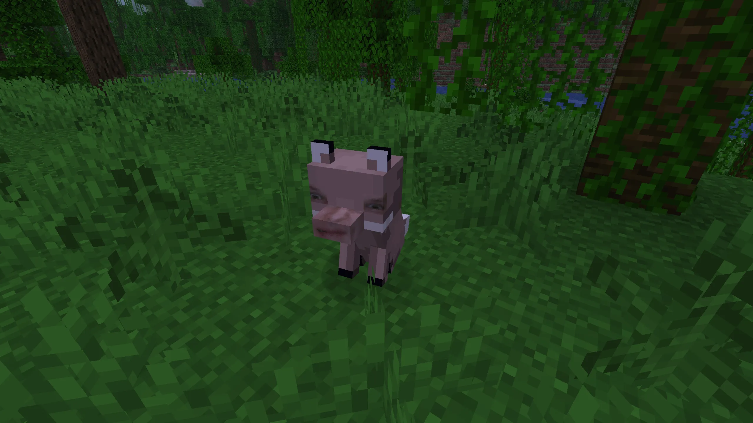 Roman, Текстуры, Minecraft