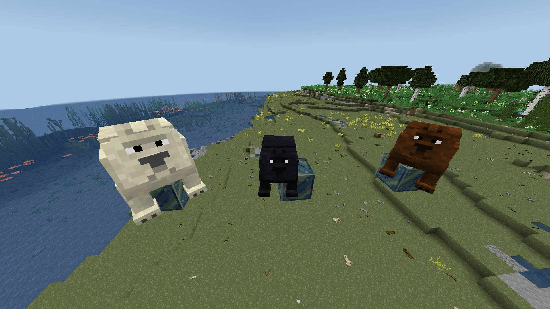A new bear skin TFC, Текстуры, Minecraft