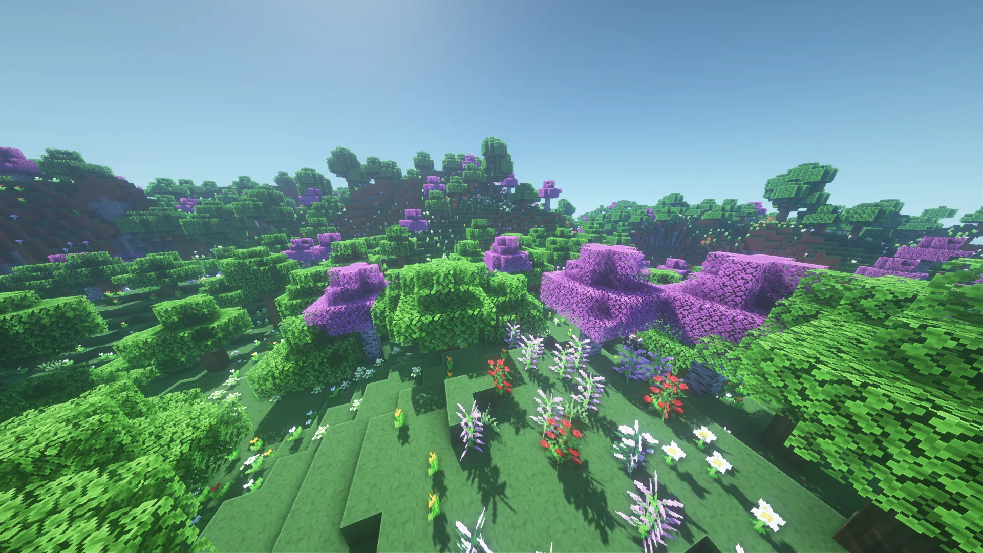SimplicityV, Текстуры, Minecraft