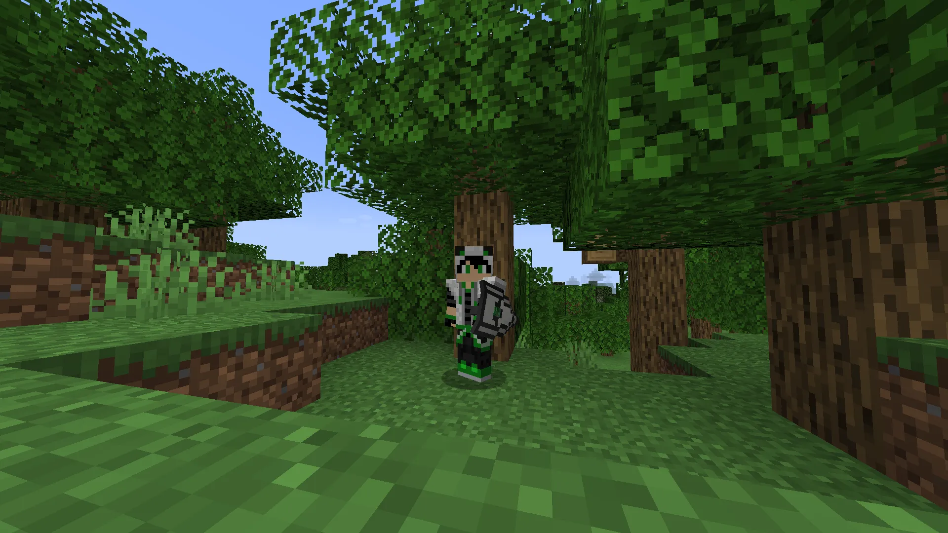 Legendary Shield, Текстуры, Minecraft