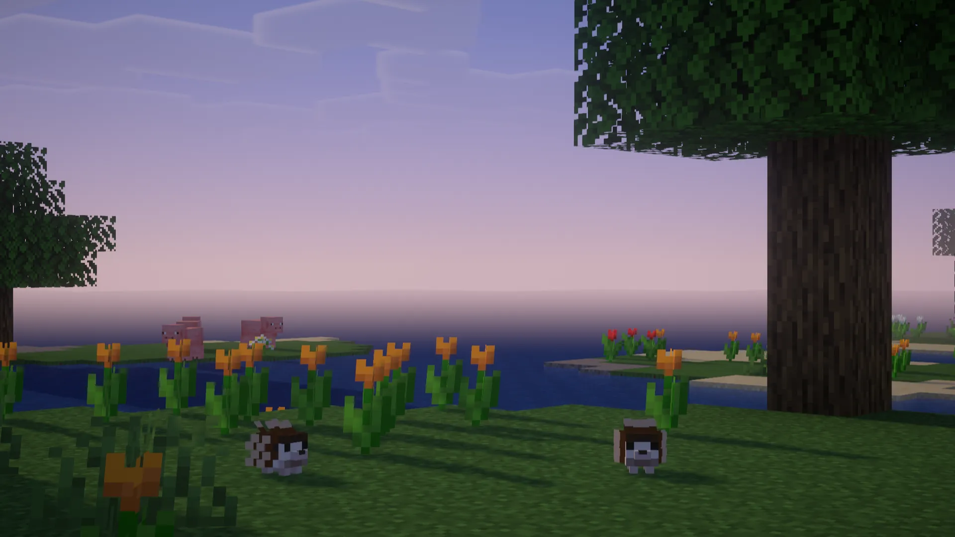 Will's Hedgehogs!, Моды, Minecraft