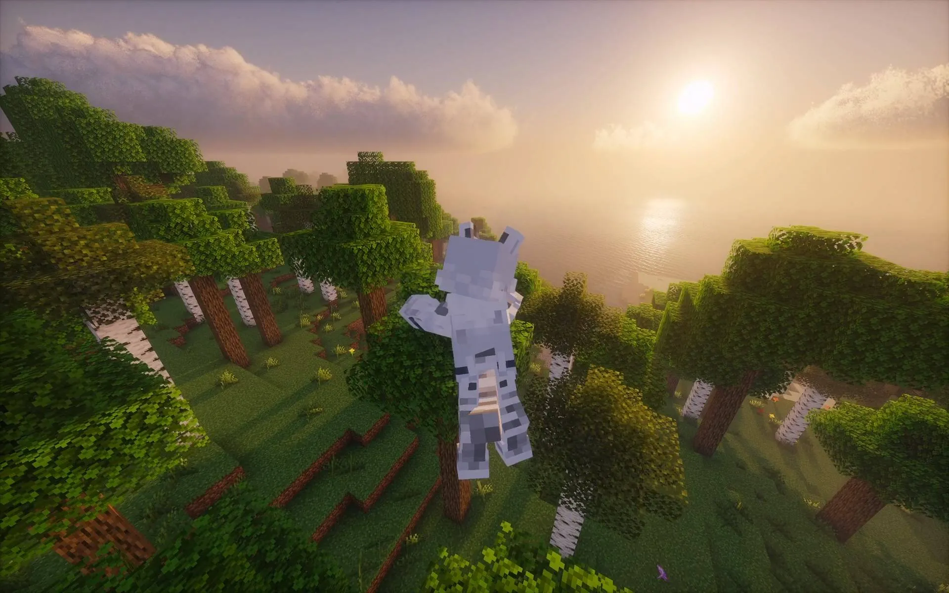 Shape Shifter Curse, Моды, Minecraft