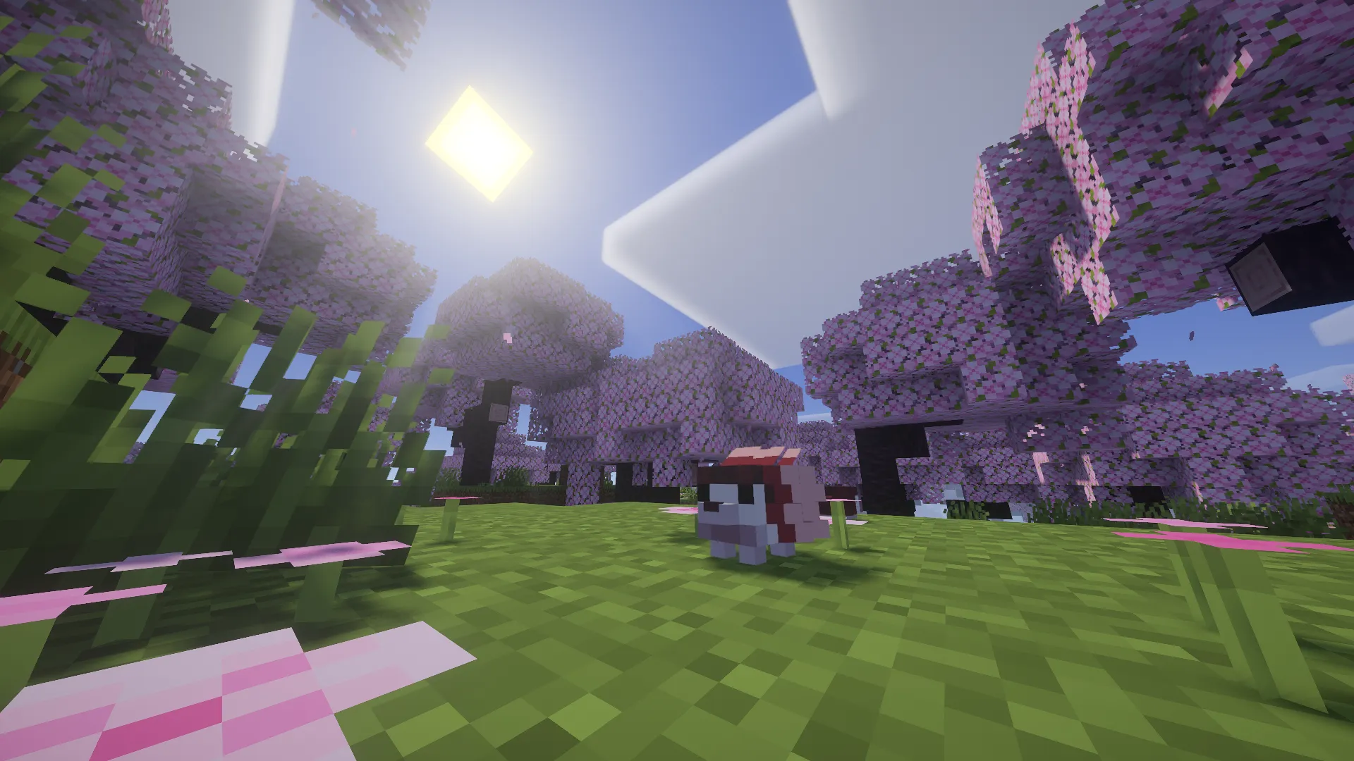 Will's Hedgehogs!, Моды, Minecraft