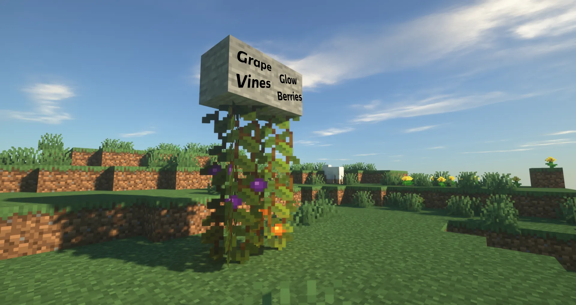 What in Wine-ation, Моды, Minecraft